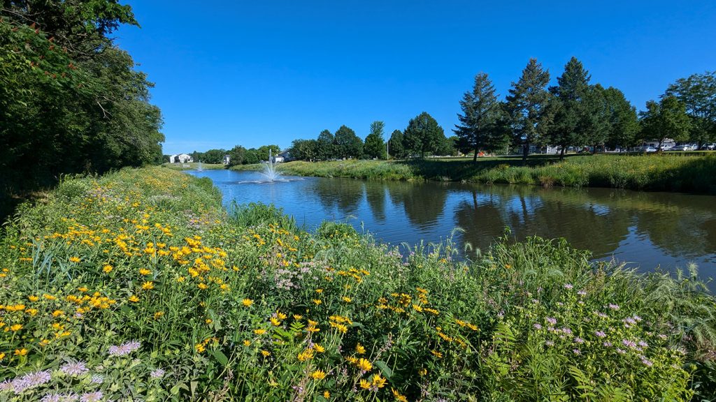 What Is Prairie Restoration? Understanding Prairie Ecosystems and the Different Types of Prairies 15 village square oswego 11 low profile July 2026 PA